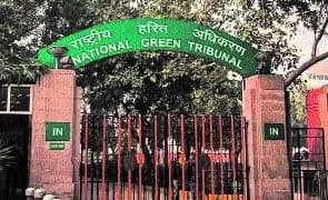 भोपाल में पेड़ों के आसपास कंक्रीट से मिट्टी ढकी, एनजीटी ने दो सप्ताह में जवाब मांगा