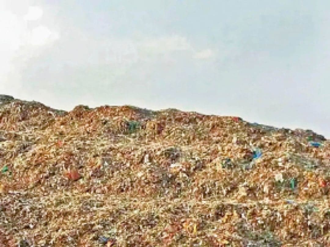 कचरा निपटान में देरी पर एनजीटी सख्त, निगम से मांगी रिपोर्ट