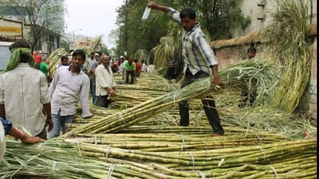 ऊर्जा सुरक्षा और खाद्य वहनीयता: भारत की नीतिगत दुविधा