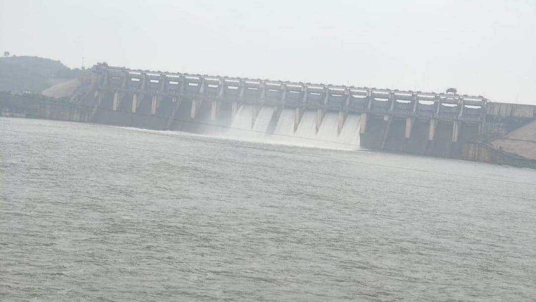 सोन नदी किनारे अलर्ट जारी हुआ