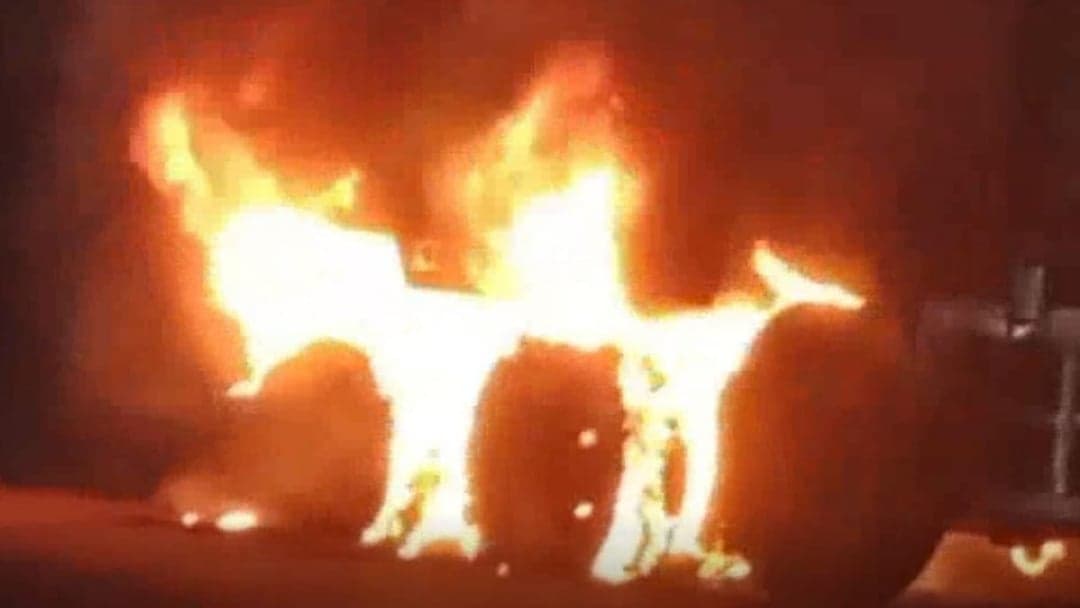 ट्रॉला आग में जलकर खाक, चालक की सूझबूझ से टला बड़ा हादसा