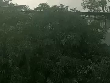 सीहोर में लगातार दूसरे दिन बारिश, फसलों को फायदा और गर्मी से निजात