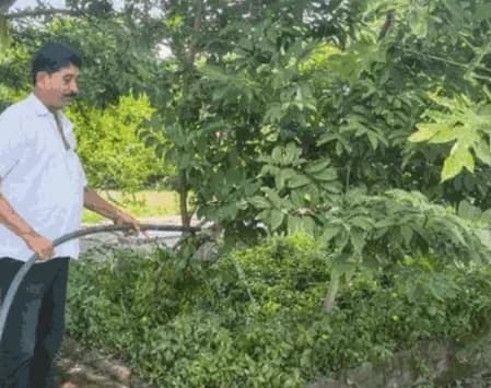 रिटायर्ड कर्मचारी ने सीहोर के मुक्तिधाम को उपवन में बदला, 5 हजार पौधों से सजाया