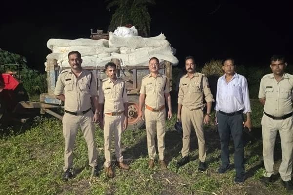 मध्य प्रदेश में गांजे की अवैध खेती का पर्दाफाश