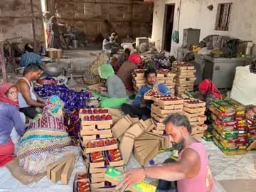 जनसुरक्षा को खतरा: भोपाल में पटाखा फैक्ट्री सील, नियमों का उल्लंघन पाया गया