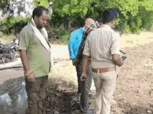 सीहोर: जंगली जानवर ने ली गाय की जान, ग्रामीणों में दहशत