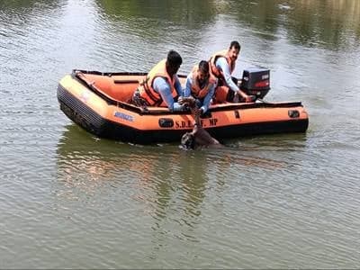 निनोरा तालाब में 15 वर्षीय बालक डूबा, एसडीईआरएफ ने 10 घंटे की खोज के बाद शव बरामद किया