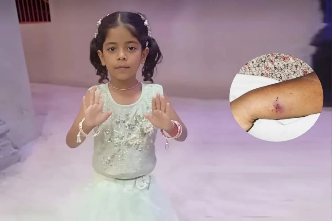 मंदसौर जिले में खेत पर सांप के डसने से 6 वर्षीय हंसा की मौत, परिवार में मातम