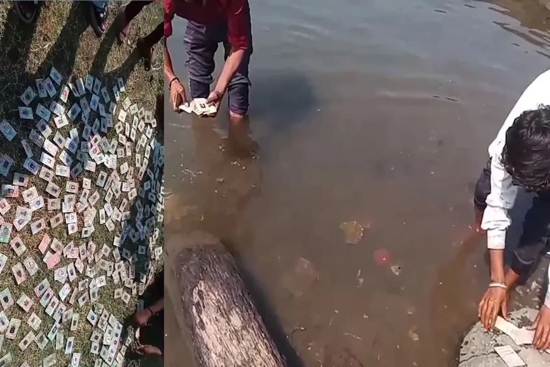 महेश्वर में नर्मदा घाट पर मिले 343 वोटर आईडी कार्ड, कांग्रेस ने उठाए सवाल