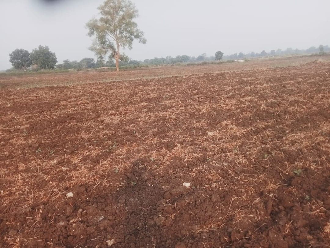 सीहोर में लगातार 4 दिनों से बेमौसम बारिश, किसानों की चिंता बढ़ी
