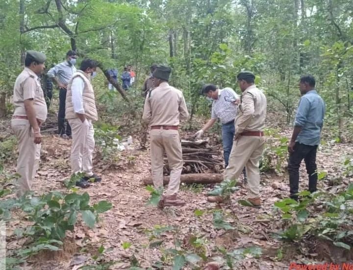 अनूपपुर: खेत में लगे फंदे में फंसा तेंदुआ शावक, शिकार के आरोप में दो गिरफ्तार