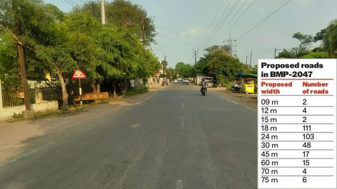 भोपाल की नई सड़क योजना से 2.9 लाख पेड़ों पर संकट