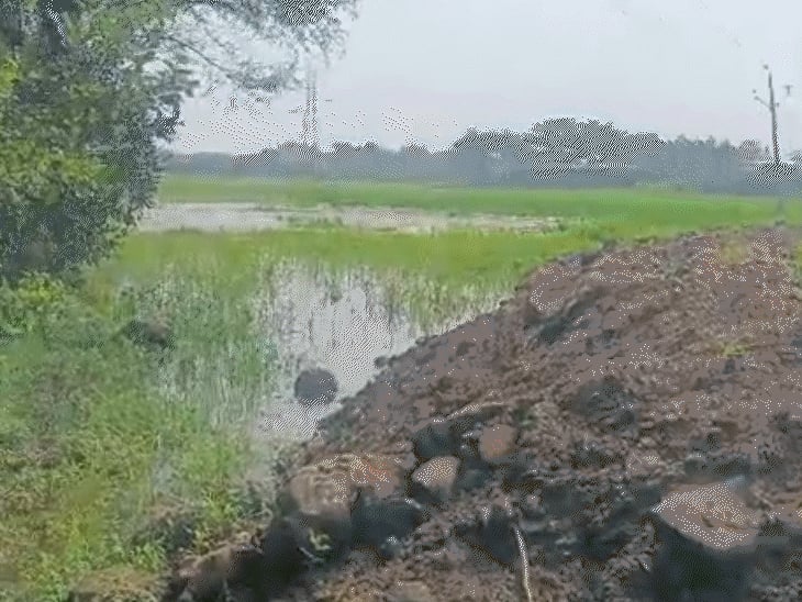 केरवा डैम में कब्जों की जांच के लिए एनजीटी ने कमेटी बनाई, आज से हो सकता है निरीक्षण