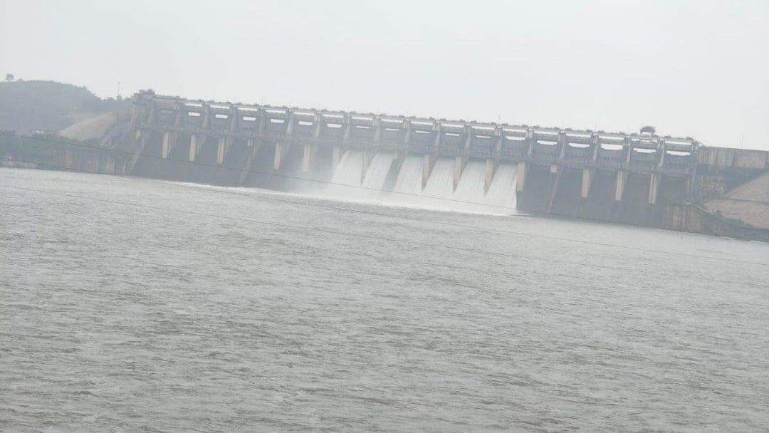 सोन नदी किनारे अलर्ट जारी हुआ