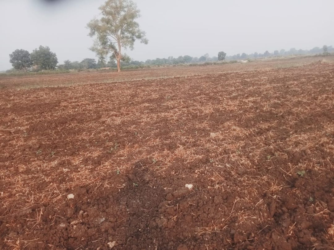 सीहोर में लगातार 4 दिनों से बेमौसम बारिश, किसानों की चिंता बढ़ी